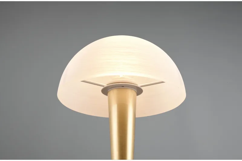 Canaria Bordslampa E14 (inkl.) mattmässing - Matt mässing - Products - Belysning - Lampor & belysning inomhus - Sovrumslampa - Sänglampa - Sängbordslampa