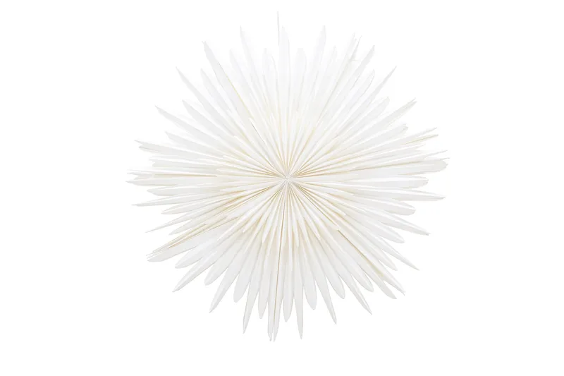 Sälen Adventsstjärna / Jullampa 100 cm, Vit