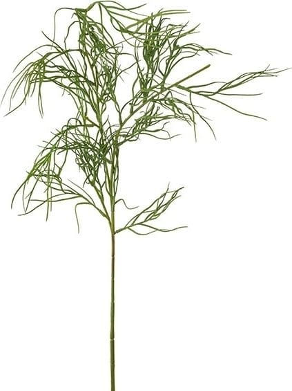 Konstväxt Grevillea, 110 cm