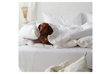 Täcke Hotelltäcke 150 x 200 cm - Standard - Products - Textil & mattor - Sängkläder